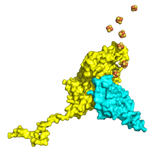 Mitochondrial targeting map 4