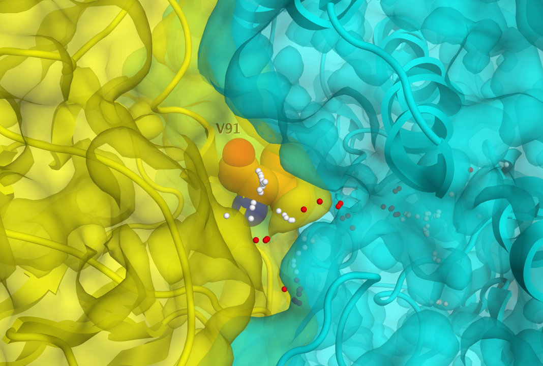 Mitochondrial targeting map 5